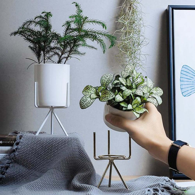 Adrius Pot Planter, White, 16.5cm H x 8cm W x 8cm D