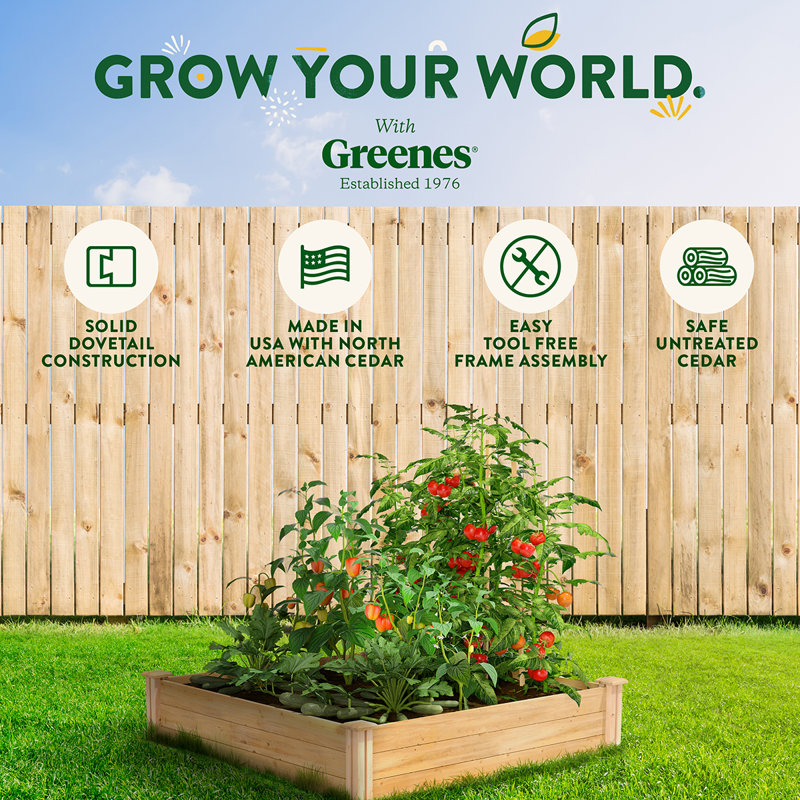 Katsuyoshi Wood Raised Garden Bed, Cedar, 10.5" H x 48" W x 48" D