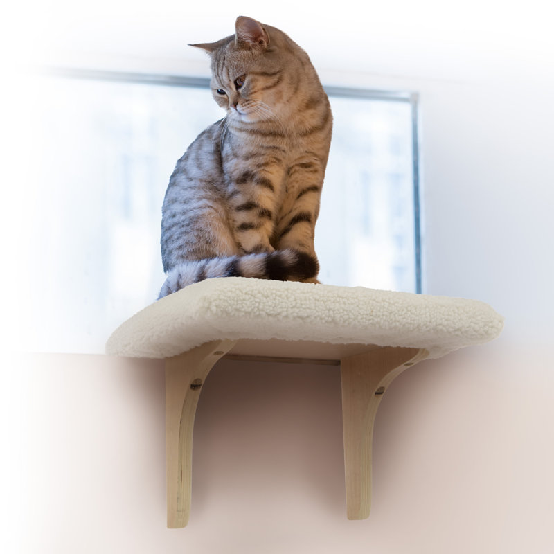 11 " H Cat Perch