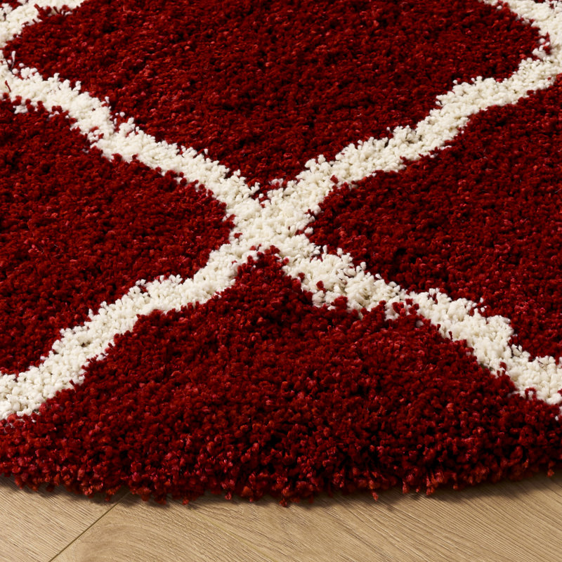 Tapis à poils longs Darrold Hudson, Rond 5 pi
