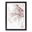 A Pink Cherry Blossom Tree Abstract - Framed Print-56738644-56738648