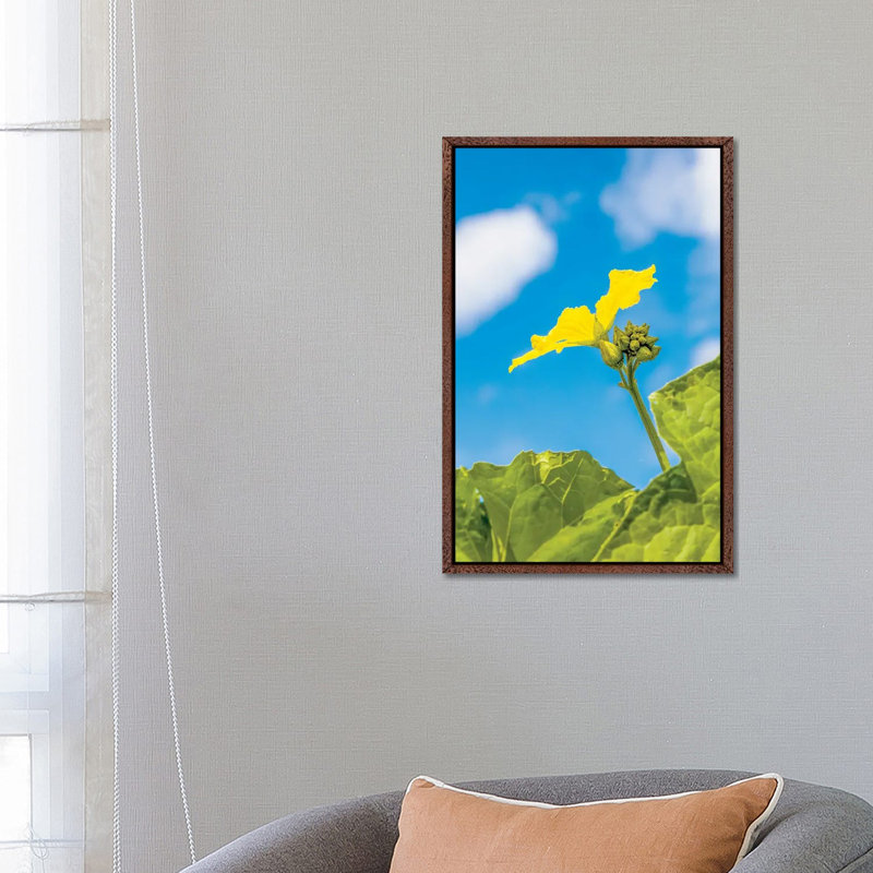 Close-Up Of Flower, Corning, New York, USA by Panoramic Images - Print on Canvas, 26 cm H x 18 cm W, Classic Wood Framed