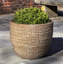 Handmade Planter-1800788097