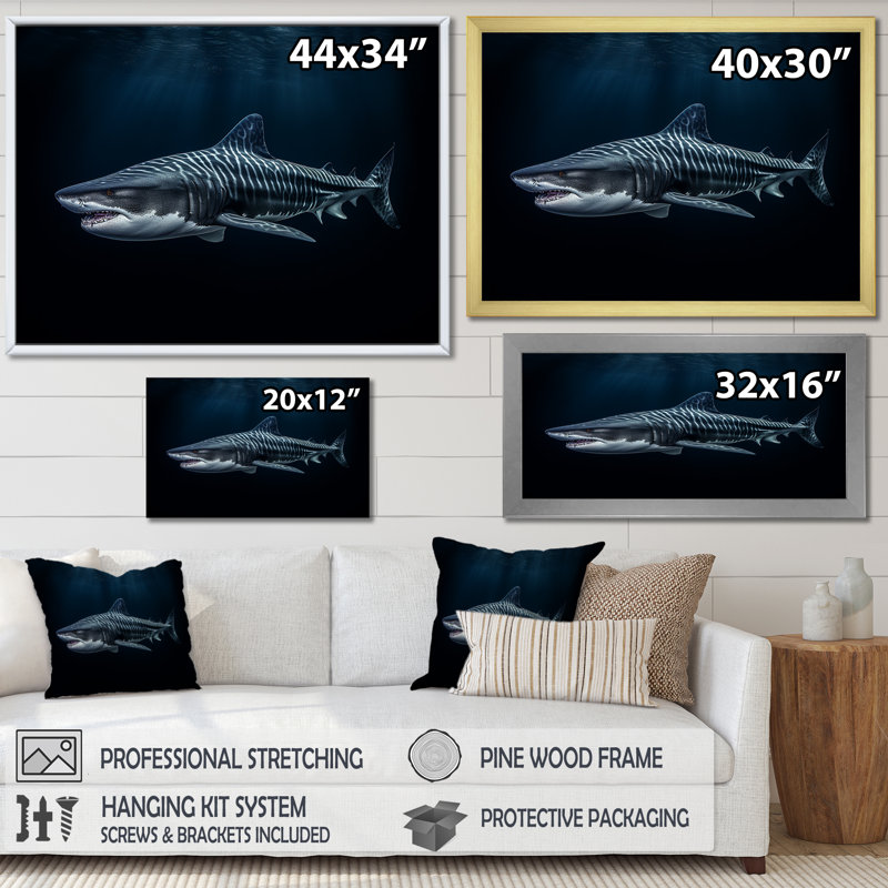 «Tiger Shark Territory II» sur toile, Cadre flottant blanc, H 16 po x l 32 po x P 1 po