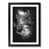 Black Framed