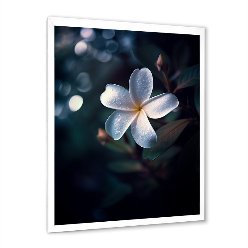 «White Black Exotic Plumeria Bloom I», reproduction sur toile, Cadre simple blanc, H 40 po x l 30 po x P 1,5 po