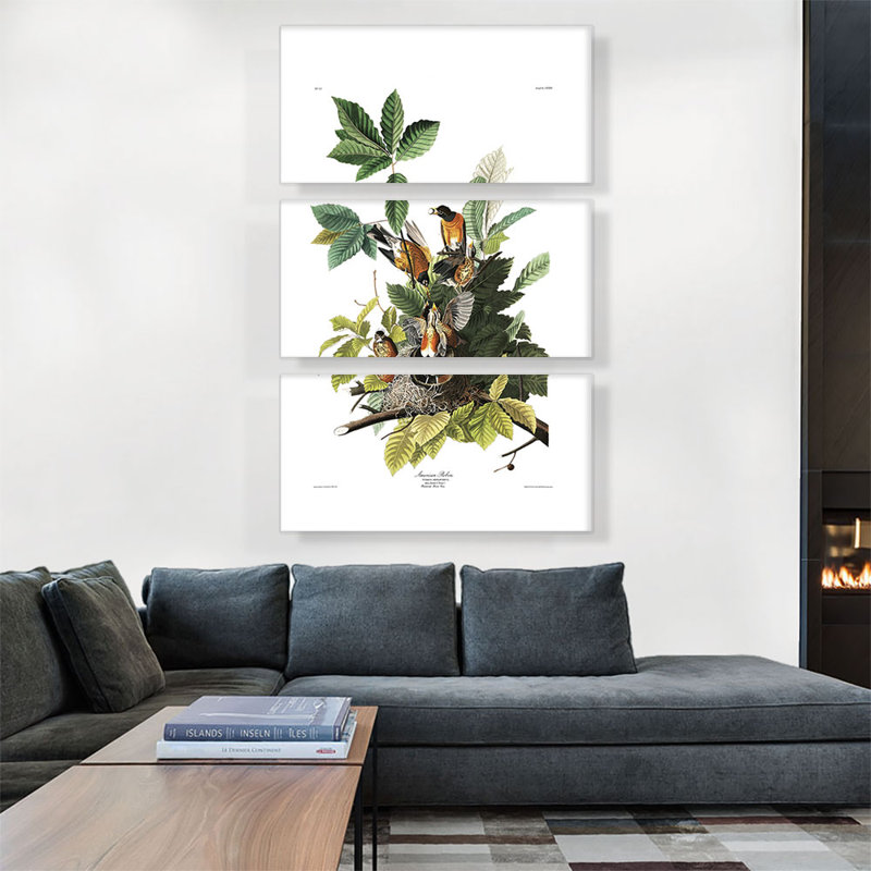 «American Robin» par James Audubon, ensemble de 3 reproductions d'art sur toiles tendues, H 60 po x l 40 po x P 0,75 po