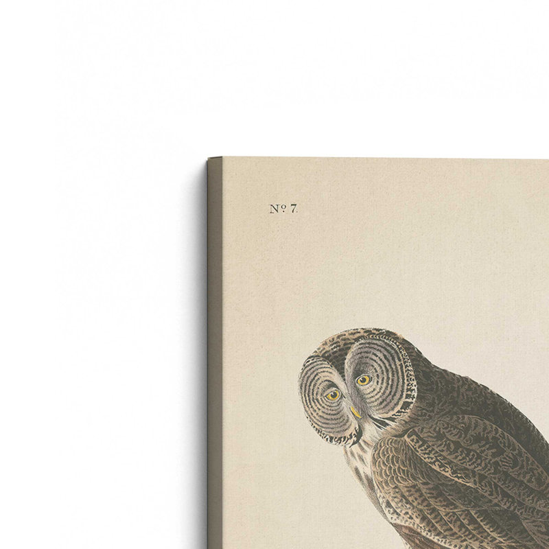 1 - Hibou perché imprimé sur toile roulée, H 12 po x l 8 po x P 1,25 po, Toile tendue