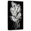 Feuille de palmier Fresco I-260243667