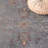 Vintage Performance Oriental Rug-22735573