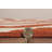 Evvy Chevron Indoor Rug-15993252