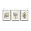 Foglio Botanica-1458085289-1458085286