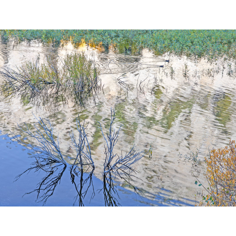 Duck In Pond Abstract #2 Print by Bruce Heinemann, Black Framed Paper, 16" H x 20" W