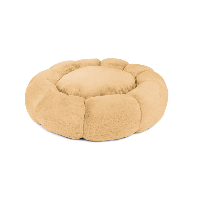 Lit pour chien Tucker Murphy Pet ™ Daisy, Or, H 4 po x l 27 po x P 27 po