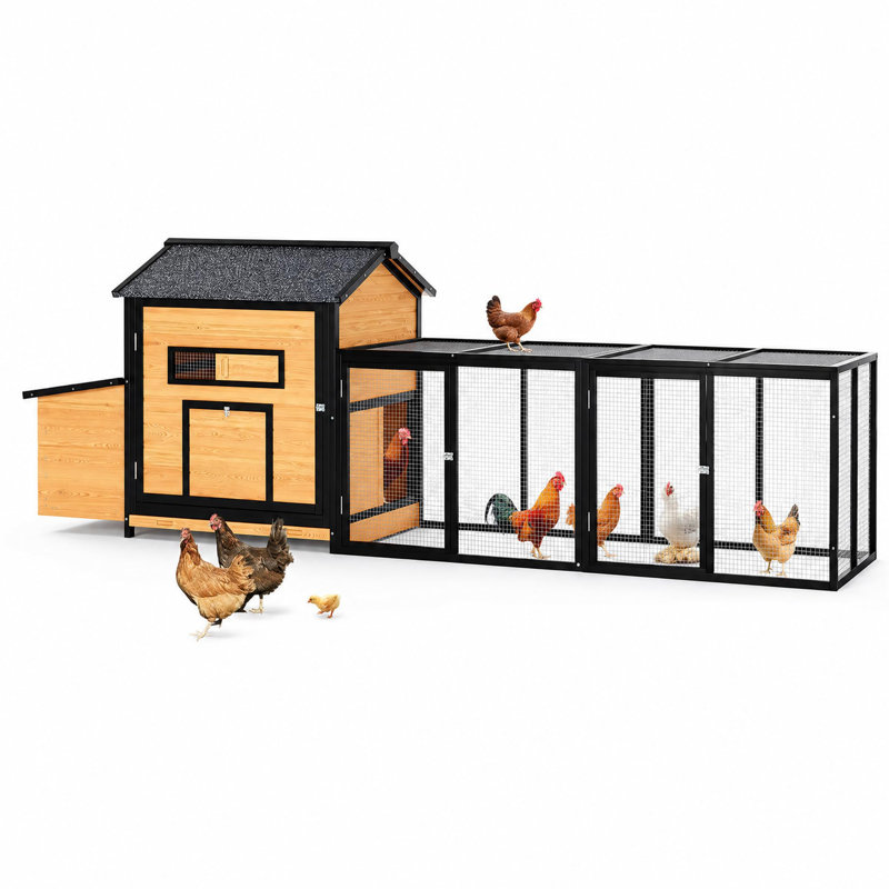 Chicken Coop, Wood color