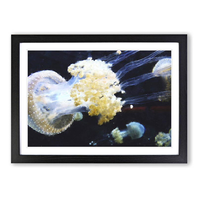 Jellyfish Vol.3 - Picture Frame Painting, 48cm H x 65cm W x 2cm D, Black
