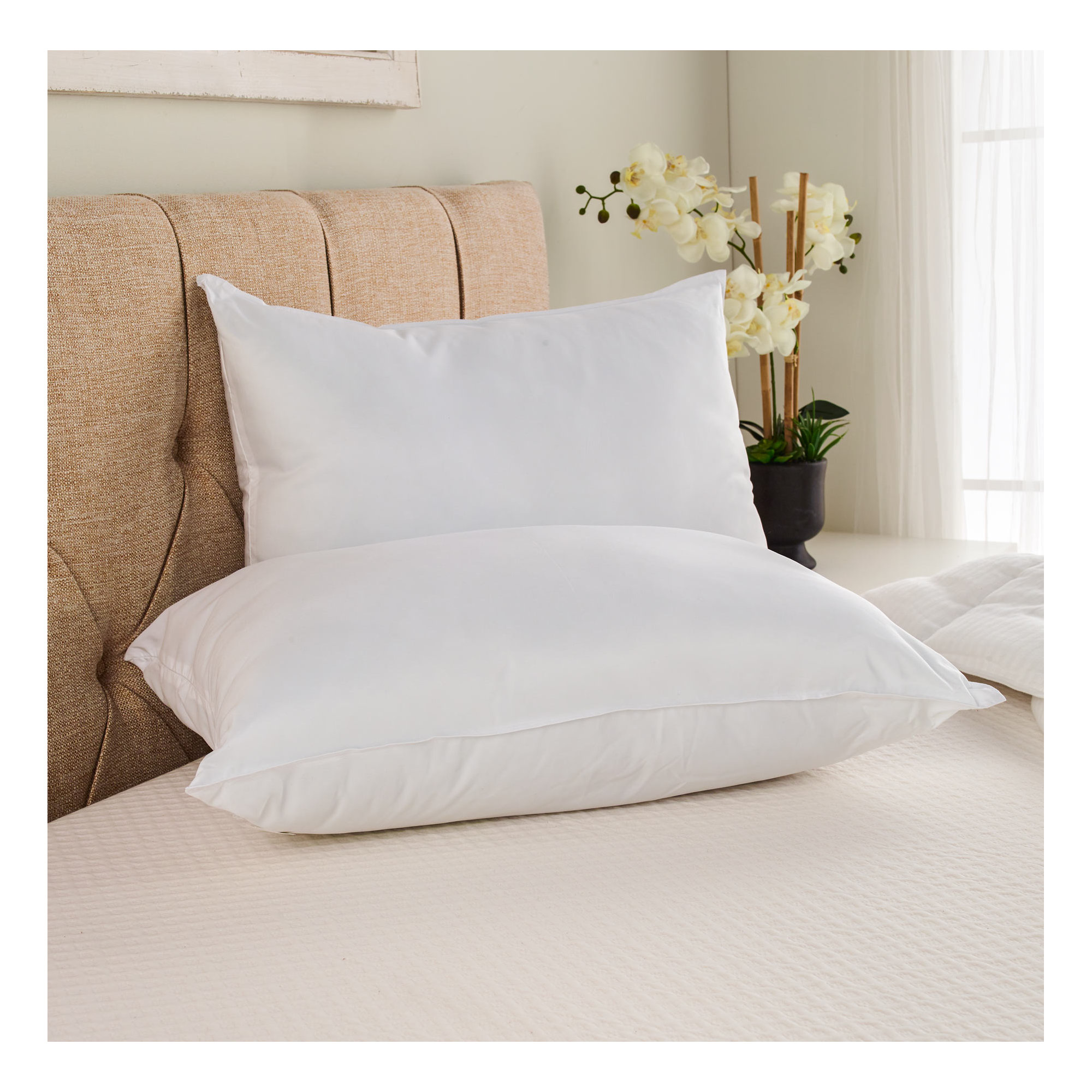 Sleep by Wayfair™ Polyester Pillow, Medium, Queen