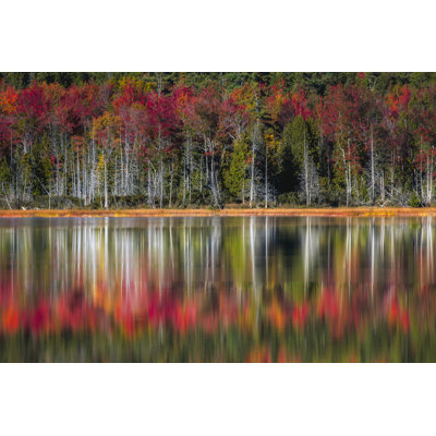 Autumn Reflections by Danny Head - Wrapped Canvas Print