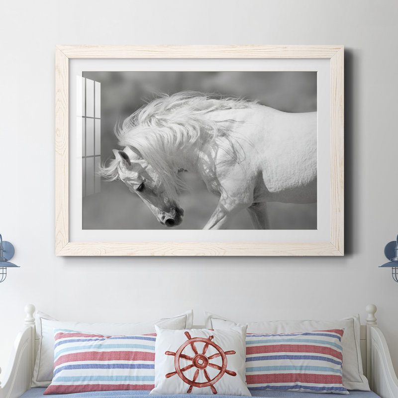 Étalon blanc - reproduction de cadre photo sur papier, H 31 po x l 44 po x P 1 po, Papier encadré blanc