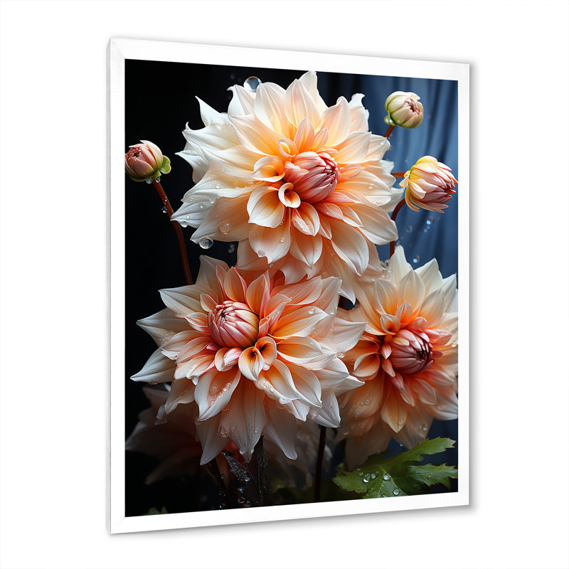 Impression romantique sur toile Vontrel Peach Dahlia, Cadre photo blanc, H 40 po x l 30 po x P 1,5 po