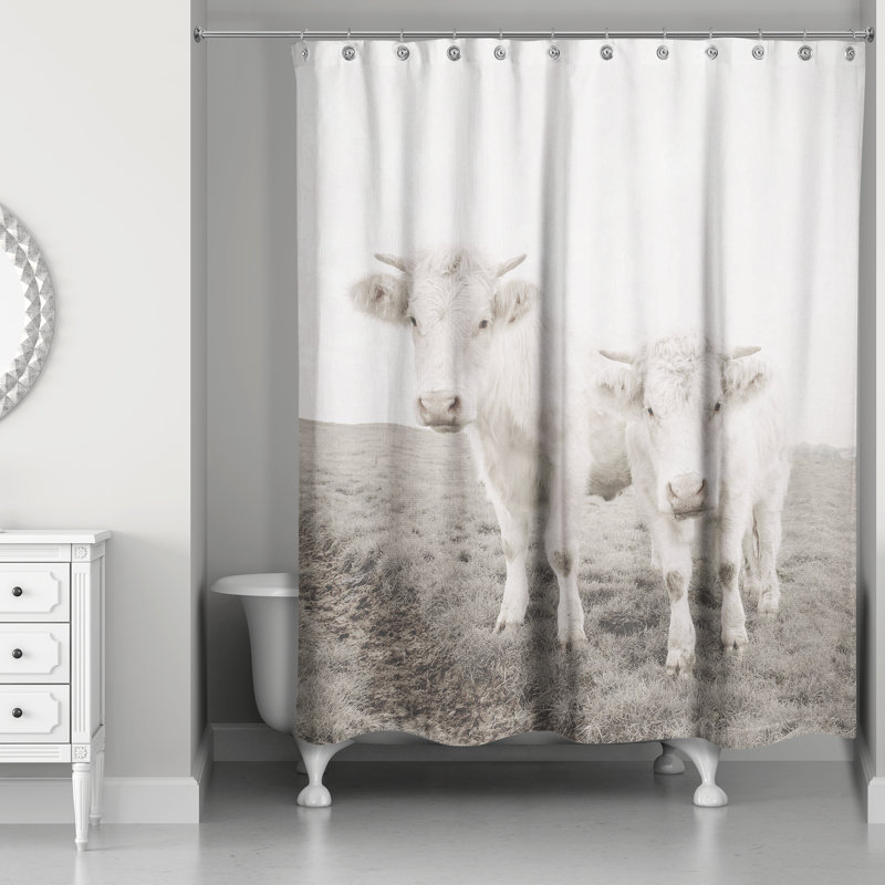 Whitewashed Cow Photograph Shower Curtain