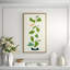 Vine Giclee Print by Susan Hable