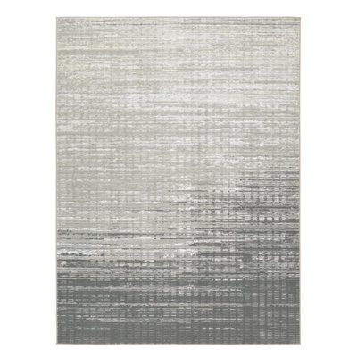 Label J  Tungsten Powerloomed Abstract Gray Area Rug