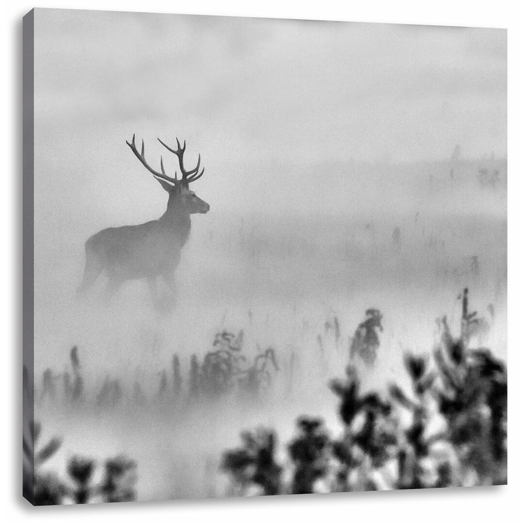 Leinwandbild Hirsch im Nebel