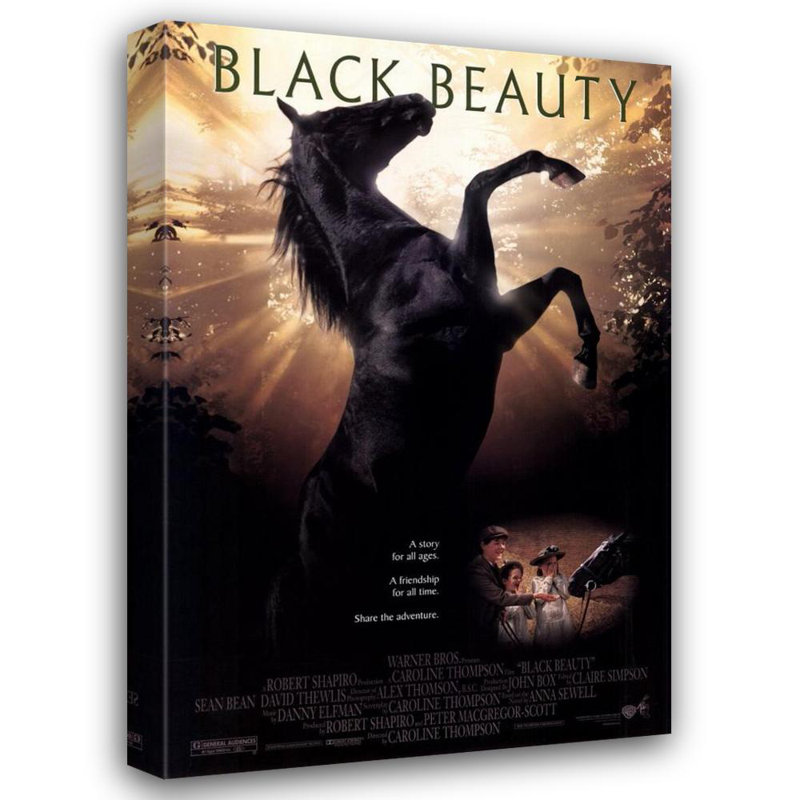 Black Beauty, 24" H x 16" W