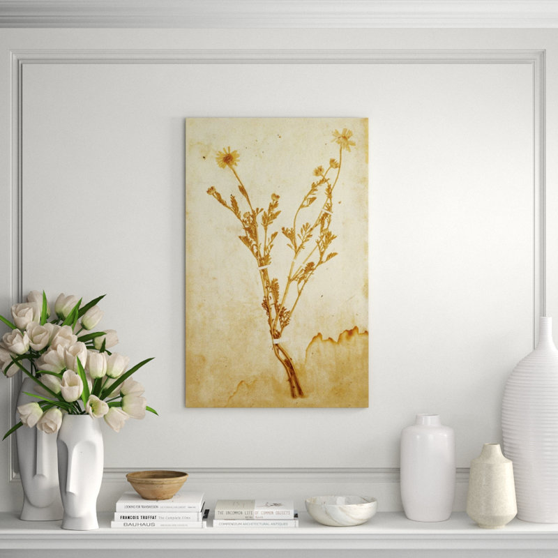 Pressed Flowers II Print by Michelle Bennett, Outdoor, 28" H x 24" W x 1.5" D