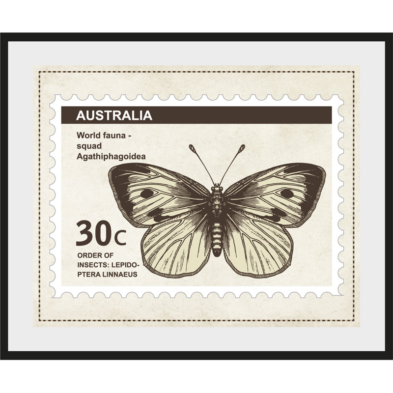 Butterfly - Single Picture Frame Print, 60 cm H x 50 cm W