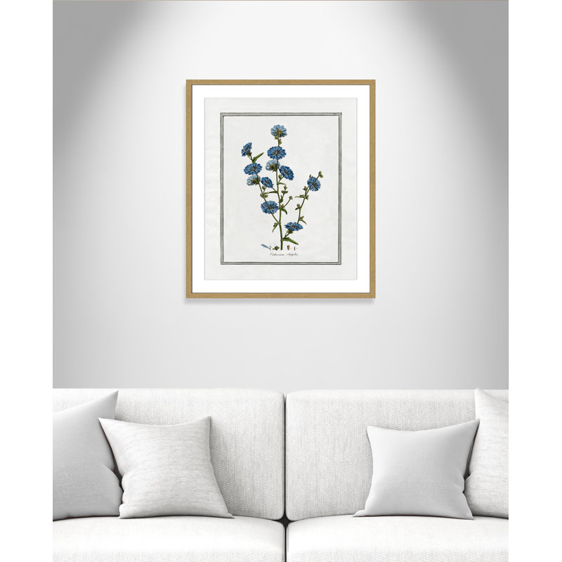 Colombe Soft Botanical I - Art encadré avec fond perdu, L 21,5 po x H 25,5 po, Cadre naturel