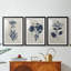 Fleurs bleu marine pressées I - reproduction sur mesure encadrée de qualité supérieure - 3 pièces-2019919537