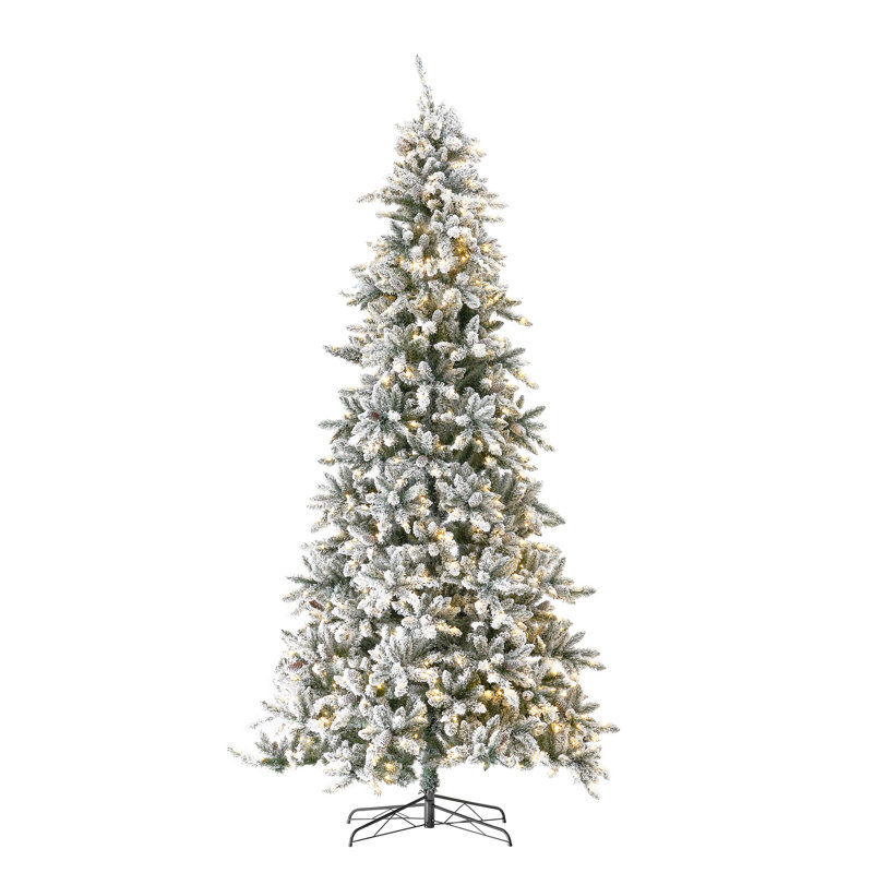 Arbre de Noël 11 pi Blairsburg