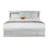 Covertt Solid Wood Bookcase Storage Bed-26241476-26241472