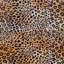 Ardmore Velvet Fabric-1038597140