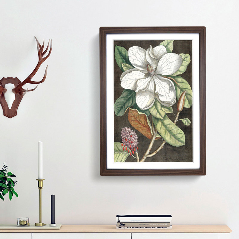 Laurel Magnolia Tree by Mark Catesby - Picture Frame Painting Print, 48cm H x 36cm W x 2cm D, Walnut Framed