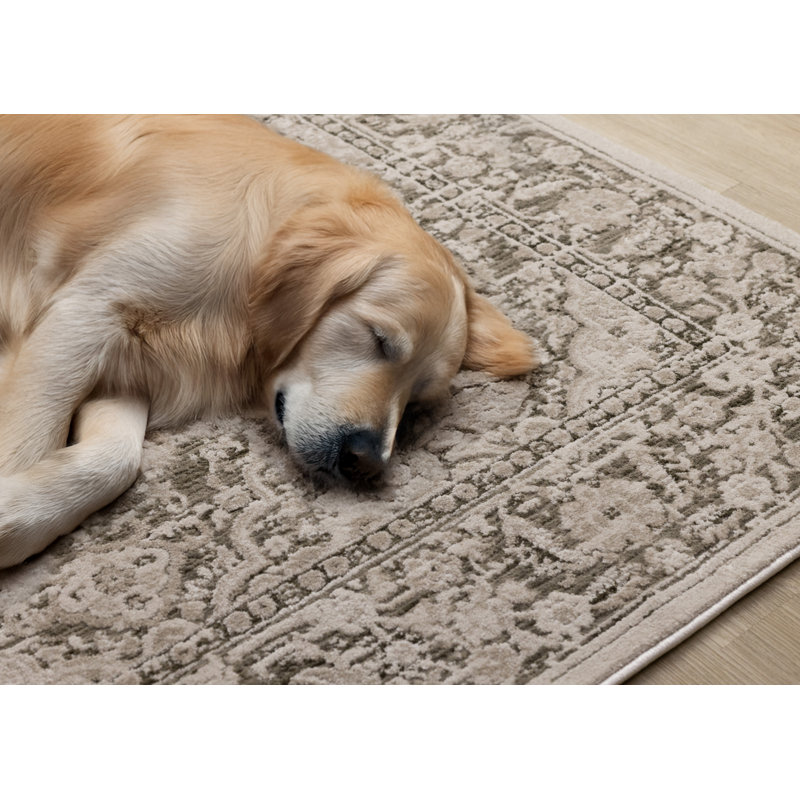 Tapis traditionnel texturé élégant taupe traditionnel Olive, Rectangle 5 pi 3 po x 7 pi 5 po