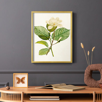 «Magnolia Flowers I», reproduction encadrée - bois massif