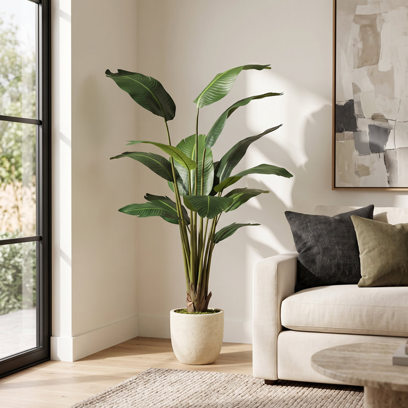 Bird-of-Paradise Drop-In