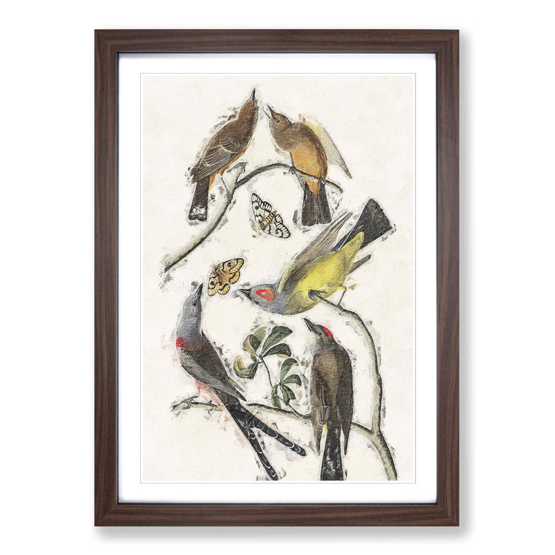 Flycatcher Birds by John Audubon - Picture Frame Painting Print, Walnut Framed, 36cm H x 27cm W x 2cm D