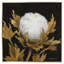 Cotton Balls I Brushed Brass (P83329)