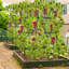 146cm H x 130cm W Metal Arched Trellis