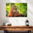 Leaf Munching Orangutan-107924154