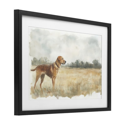 Retriever Dog in Open Field Framed Print Under Glass, design by Petal Prints Design