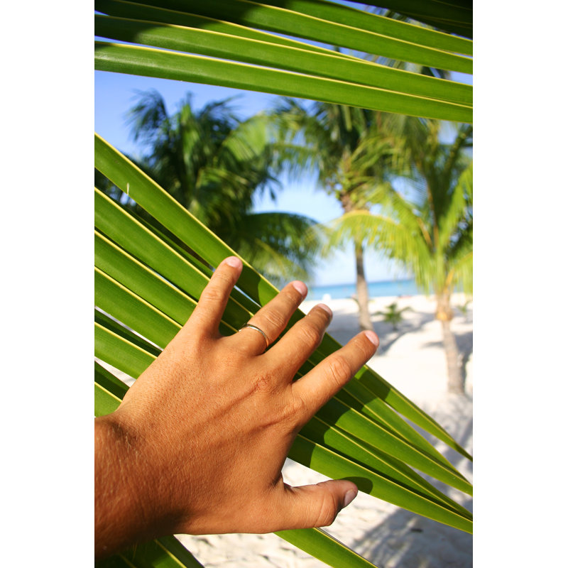 Paradise discovered 1 Piece Wrapped Canvas Wall Art, 91cm H x 61cm W