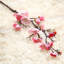 Tige de cerisier en fleurs-1625847139