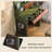 31.50"Green Minimalist Solid Wood Dressing Table