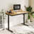 Landaverde 55"x28" Dual Motors Height Adjustable Standing Desk Wireless Charging with Drawer-217276357-205472701