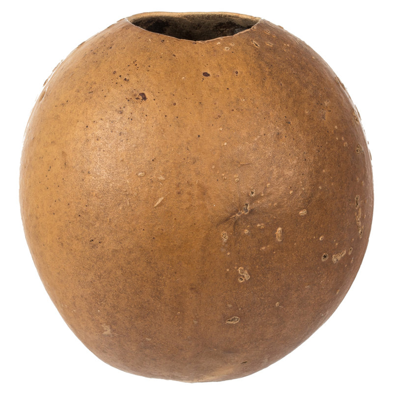 Ensemble de 3 plantes à feuillage préservé, Brun